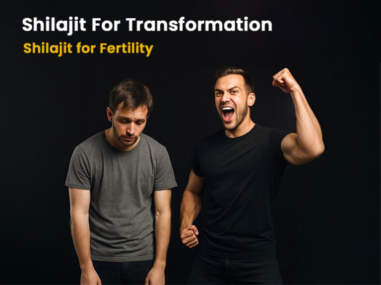  Shilajit balancing hormones for Men and Women: Shilajit for Reproductive health